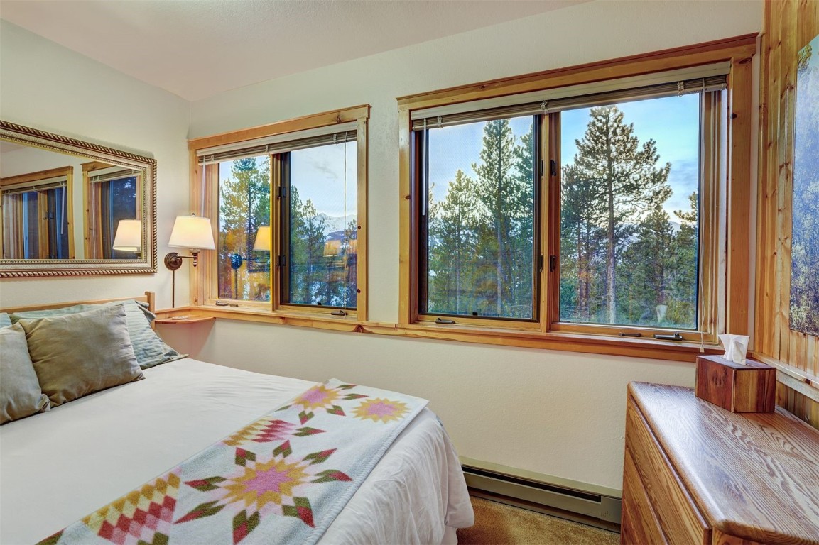 2502 Boreas Pass Road Breckenridge, CO 80424 - Photo 29 of 34 Gallery Image 29