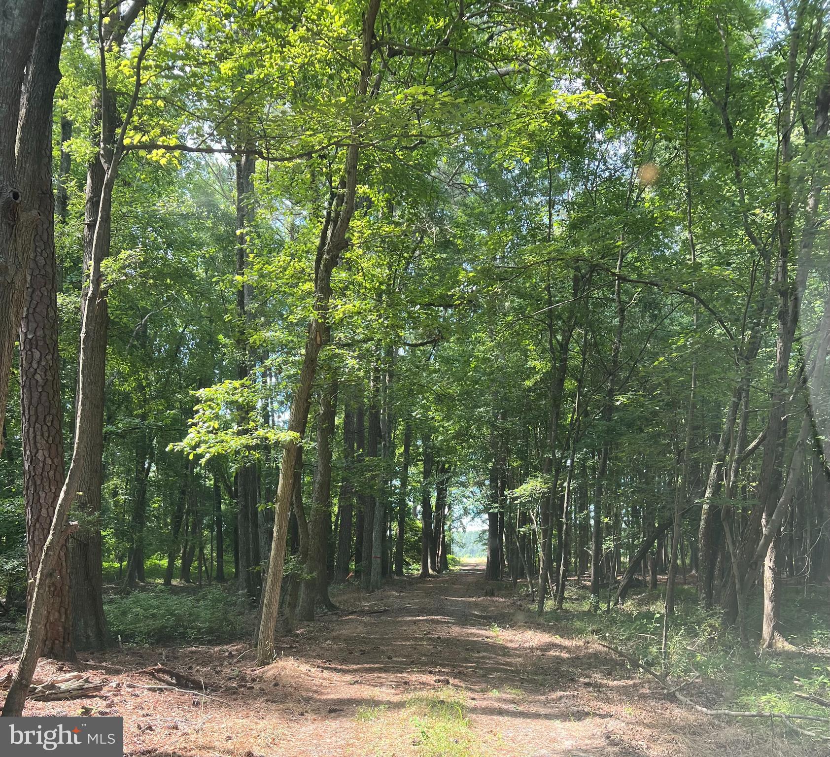 0 Deep Neck Road Royal Oak, MD 21662 - Photo 2 of 6 Gallery Image 2