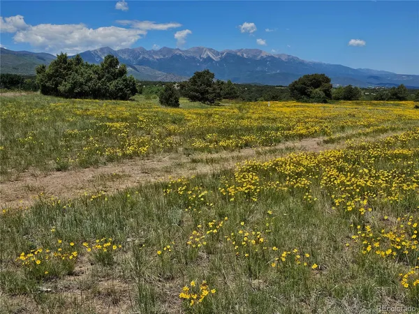 $4,000,000 | 2490 County Road 1A, Cotopaxi, CO 81223