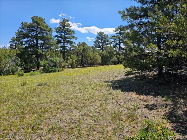 $4,000,000 | 2490 County Road 1A, Cotopaxi, CO 81223