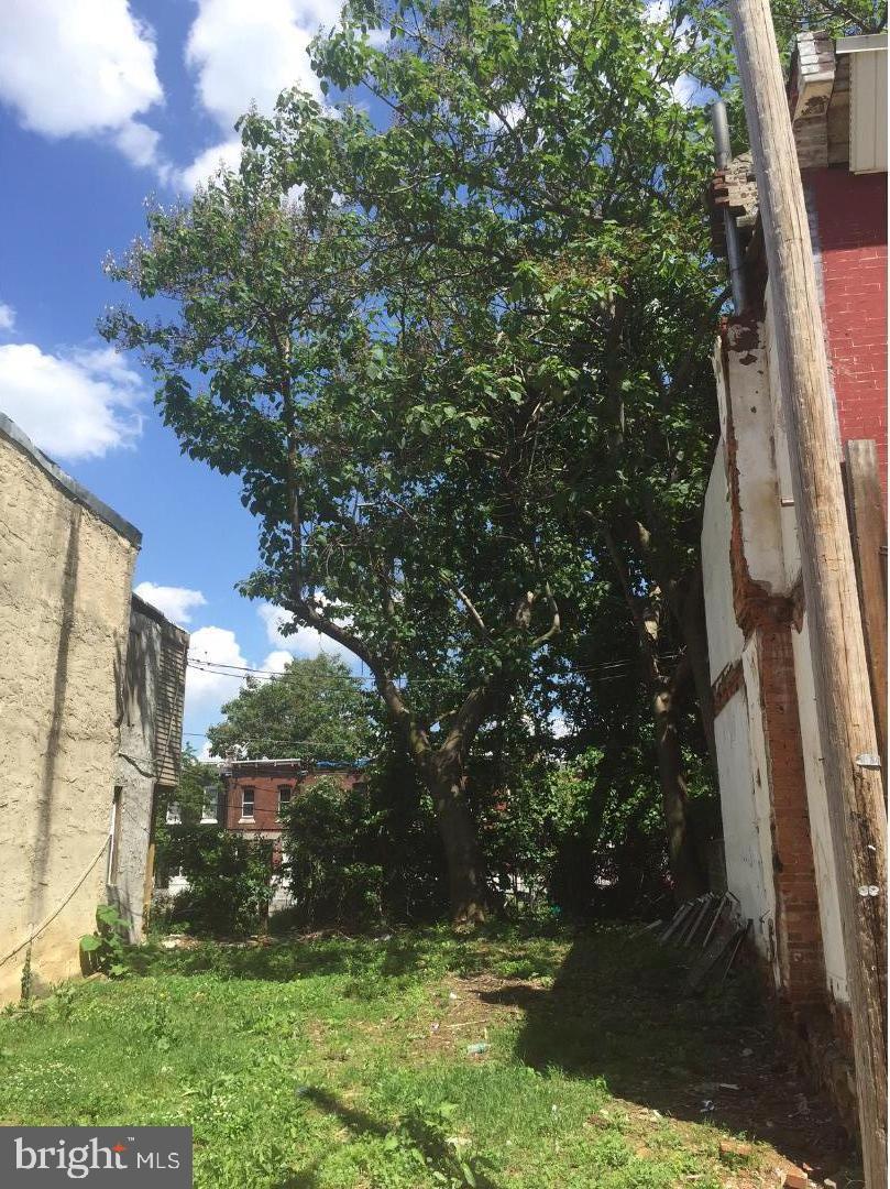 1815 North Ringgold Street Philadelphia, PA 19121 - Photo 1 of 3 a view of backyard with green space