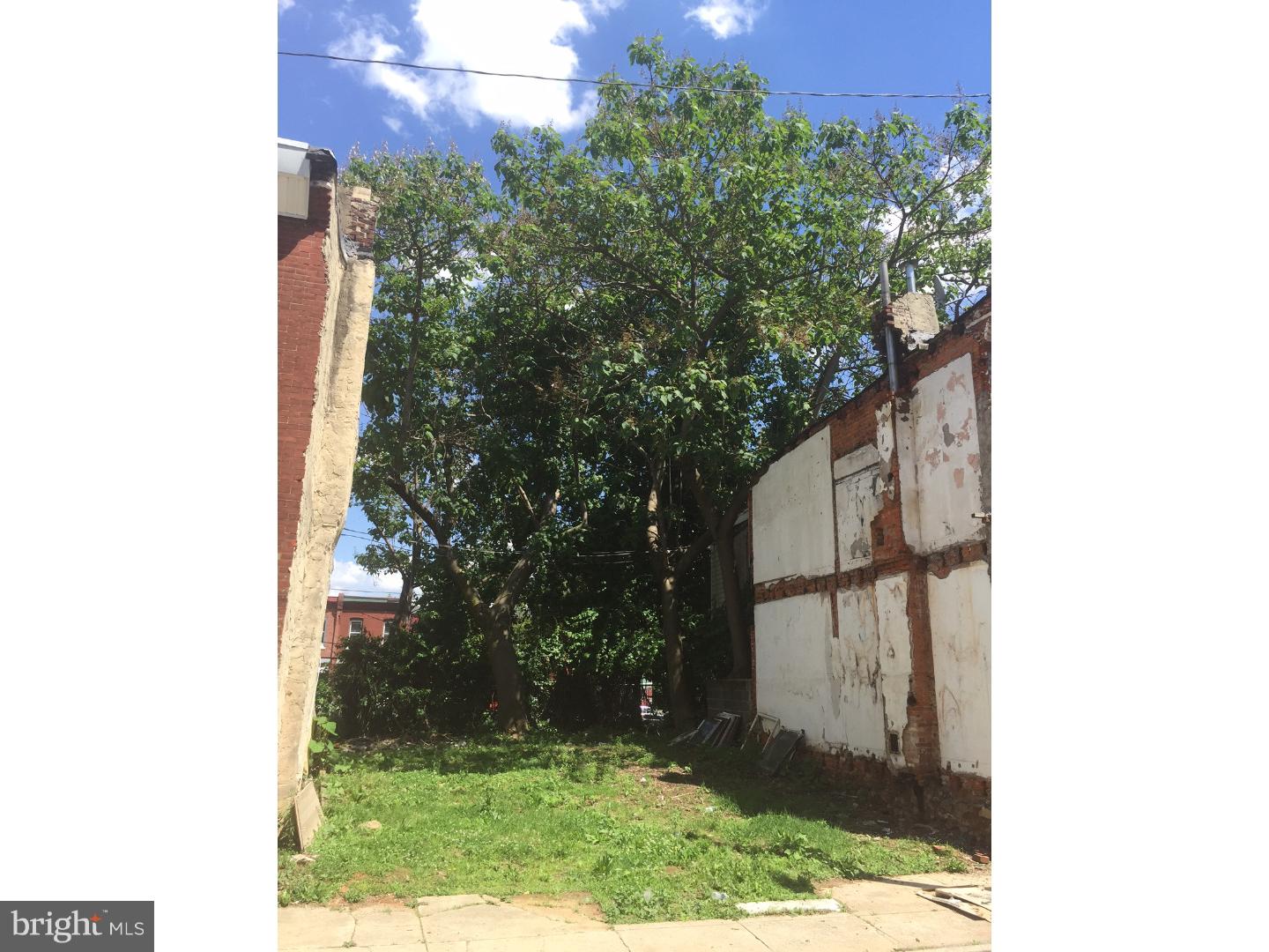 1815 North Ringgold Street Philadelphia, PA 19121 - Photo 3 of 3 a view of a yard
