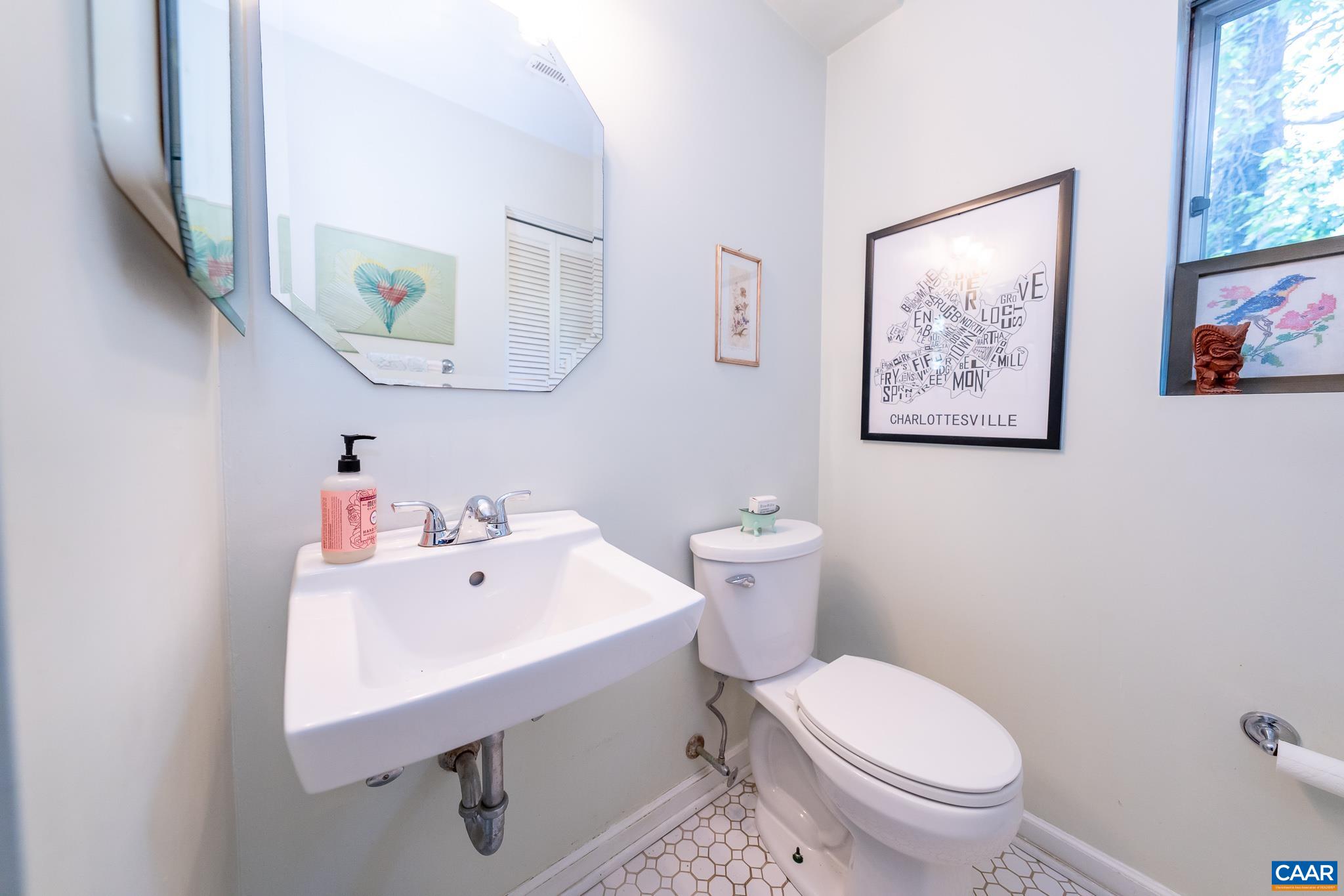723 Village Road Charlottesville, VA 22903 - Photo 42 of 51 a bathroom with a sink mirror and toilet
