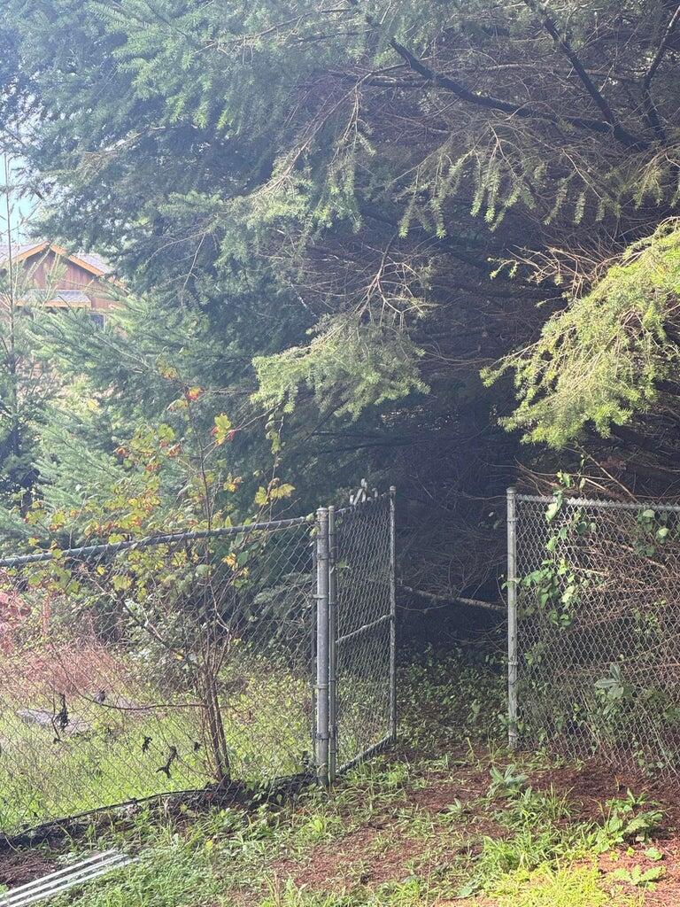 416 Ridge Road Shelter Cove, CA 95589 - Photo 6 of 15 image 6