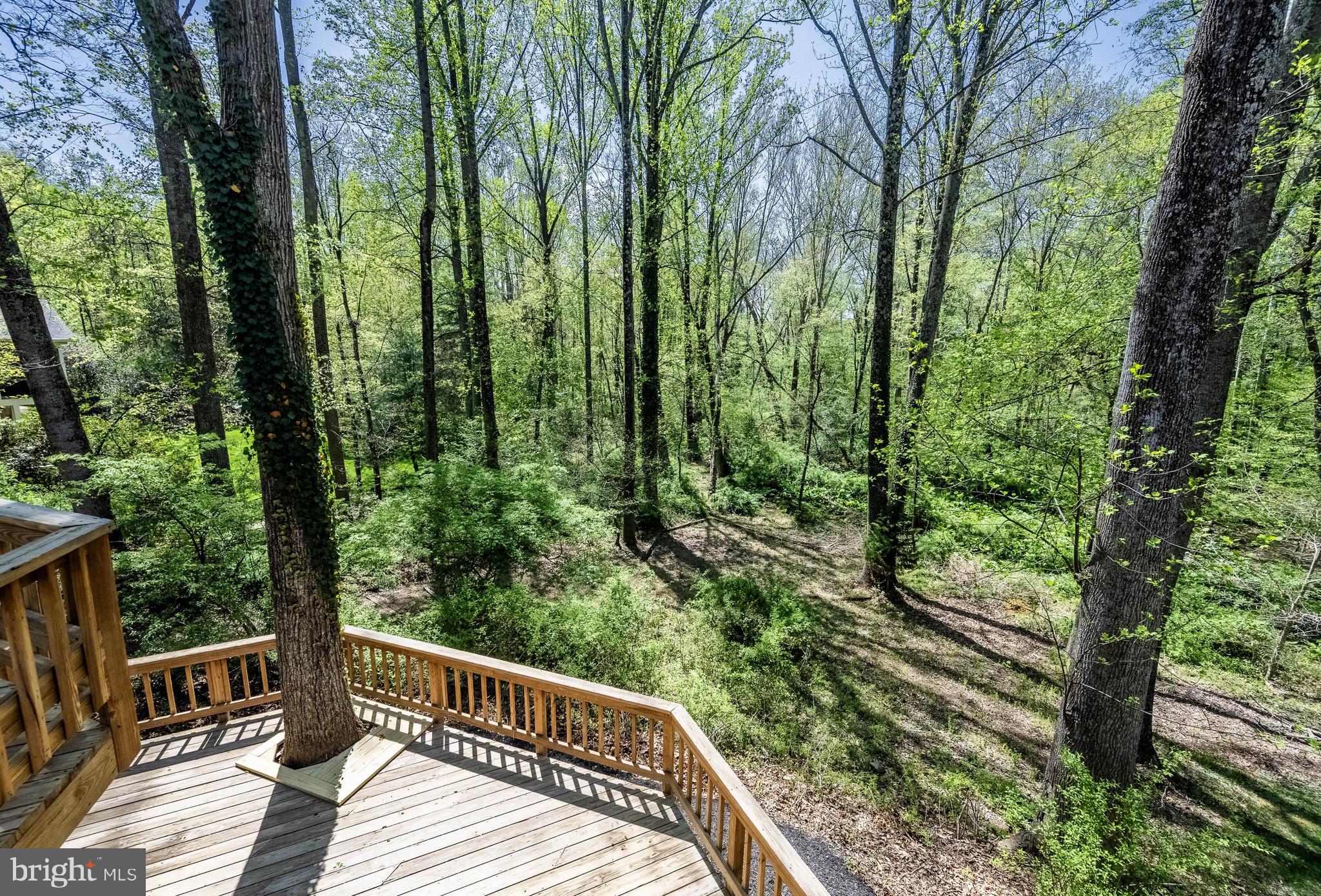 2906 Oakton Ridge Circle Oakton, VA 22124 - Photo 39 of 42 a view of balcony with trees and plants