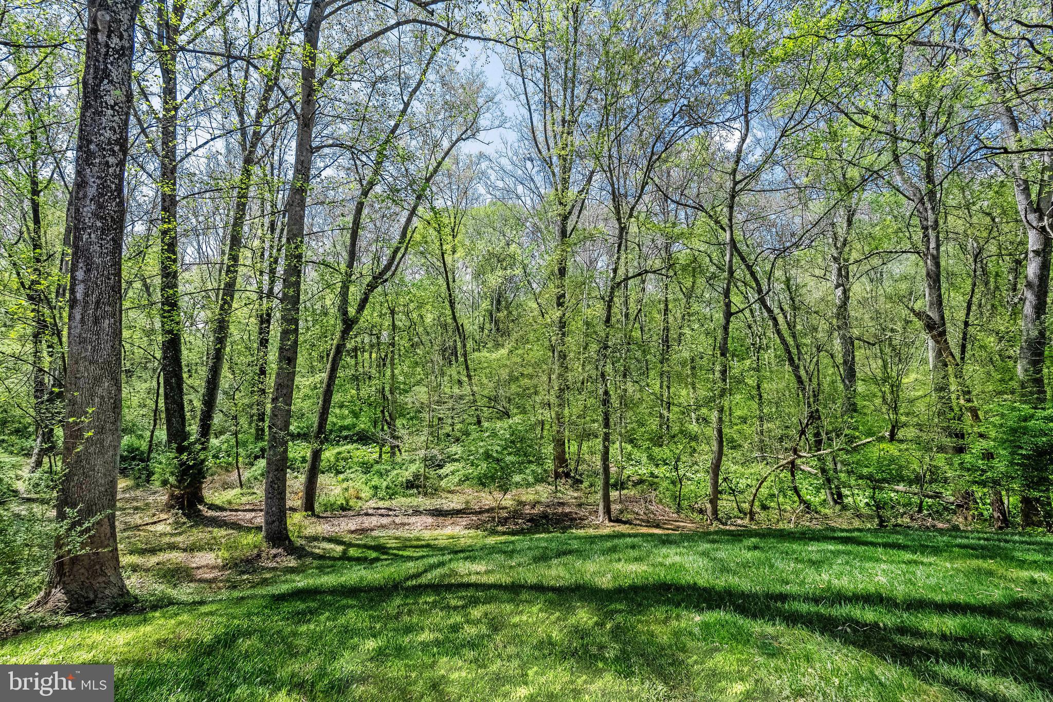 2906 Oakton Ridge Circle Oakton, VA 22124 - Photo 41 of 42 a green field with lots of trees