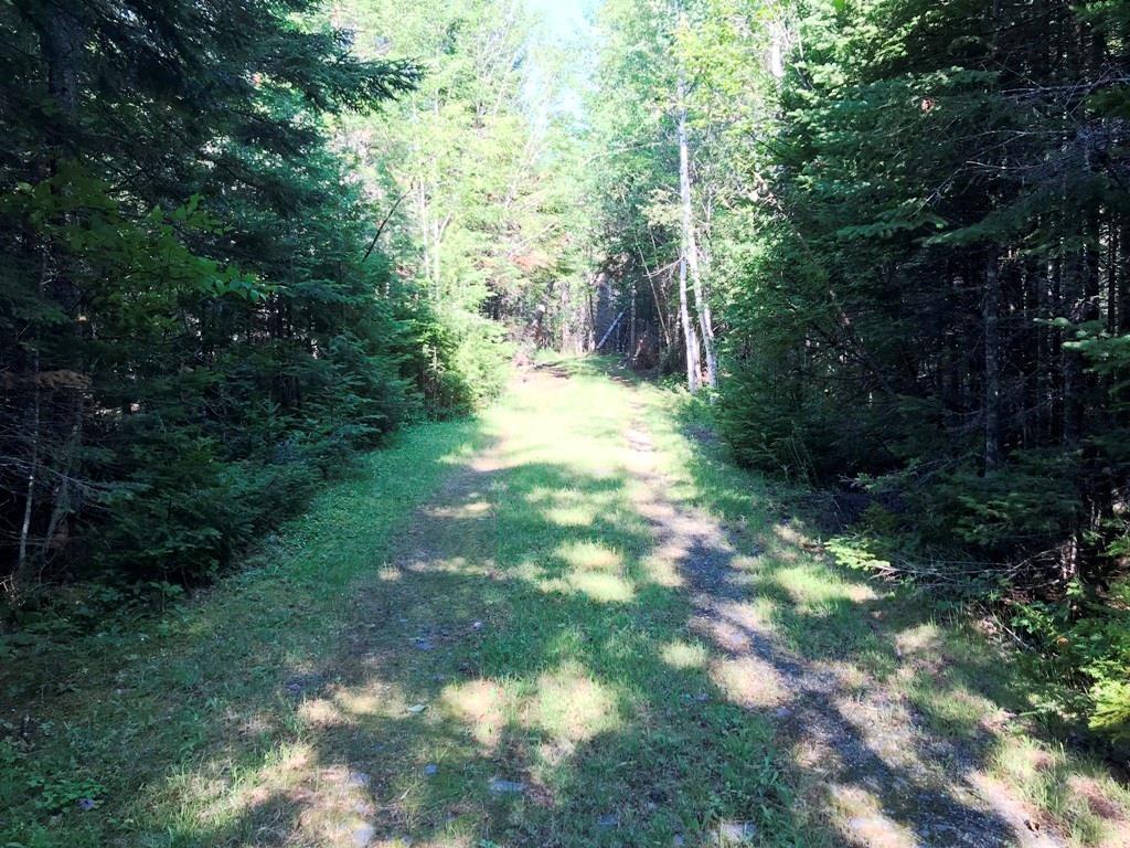 Tbd B&a Railroad North Road North Shirley, ME 04485 - Photo 10 of 22 Photo