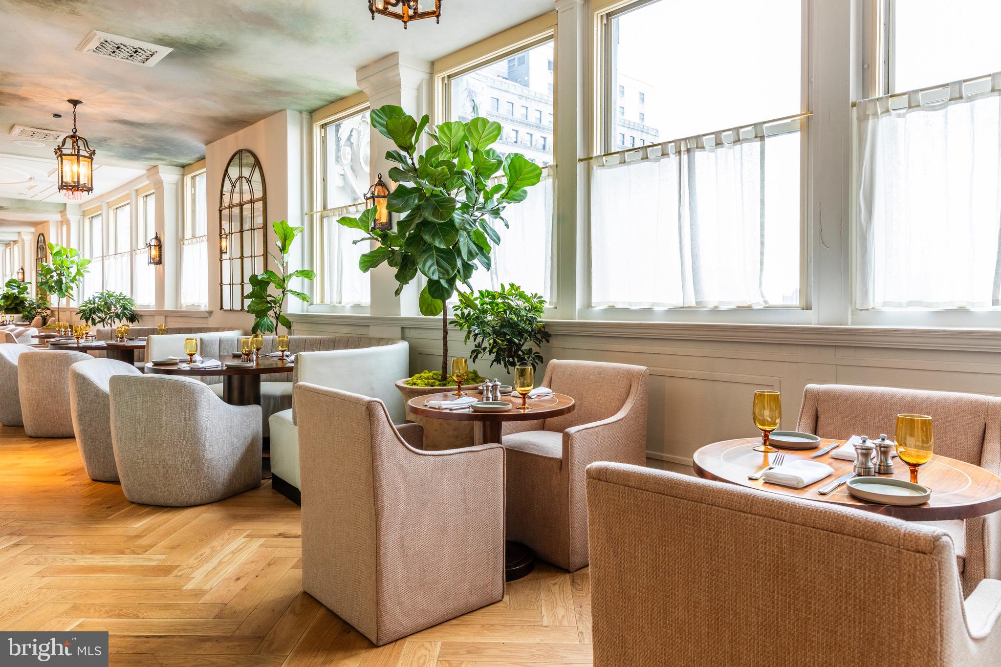 200 South Broad Street, Unit 1015 Philadelphia, PA 19102 - Photo 23 of 48 a living room with furniture and a potted plant