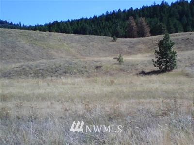 9999 Heron Loop Road Republic, WA 99166 - Photo 1 of 1 Gallery Image 1