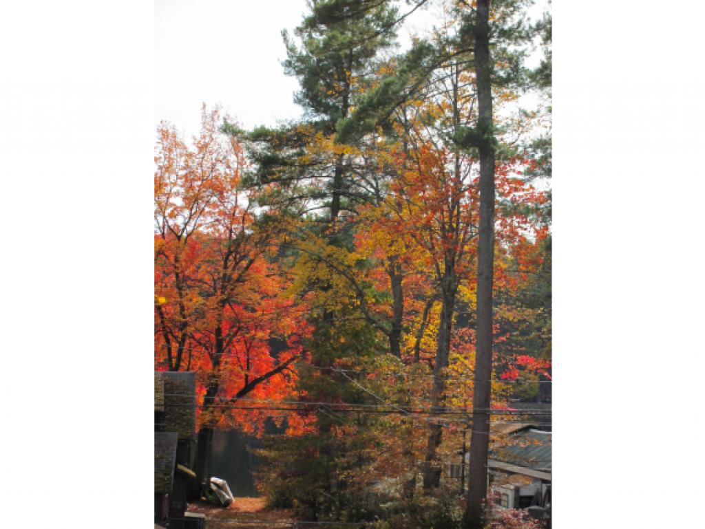 605 Collettes Grove Road Derry, NH 03038 - Photo 8 of 15