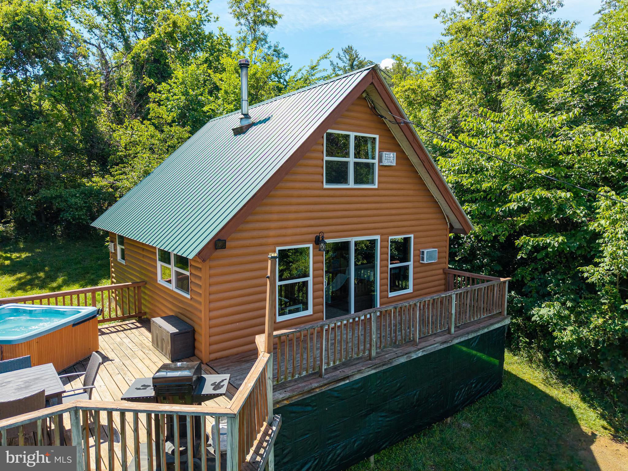707 Overlook Drive Rileyville, VA 22650 - Photo 58 of 94