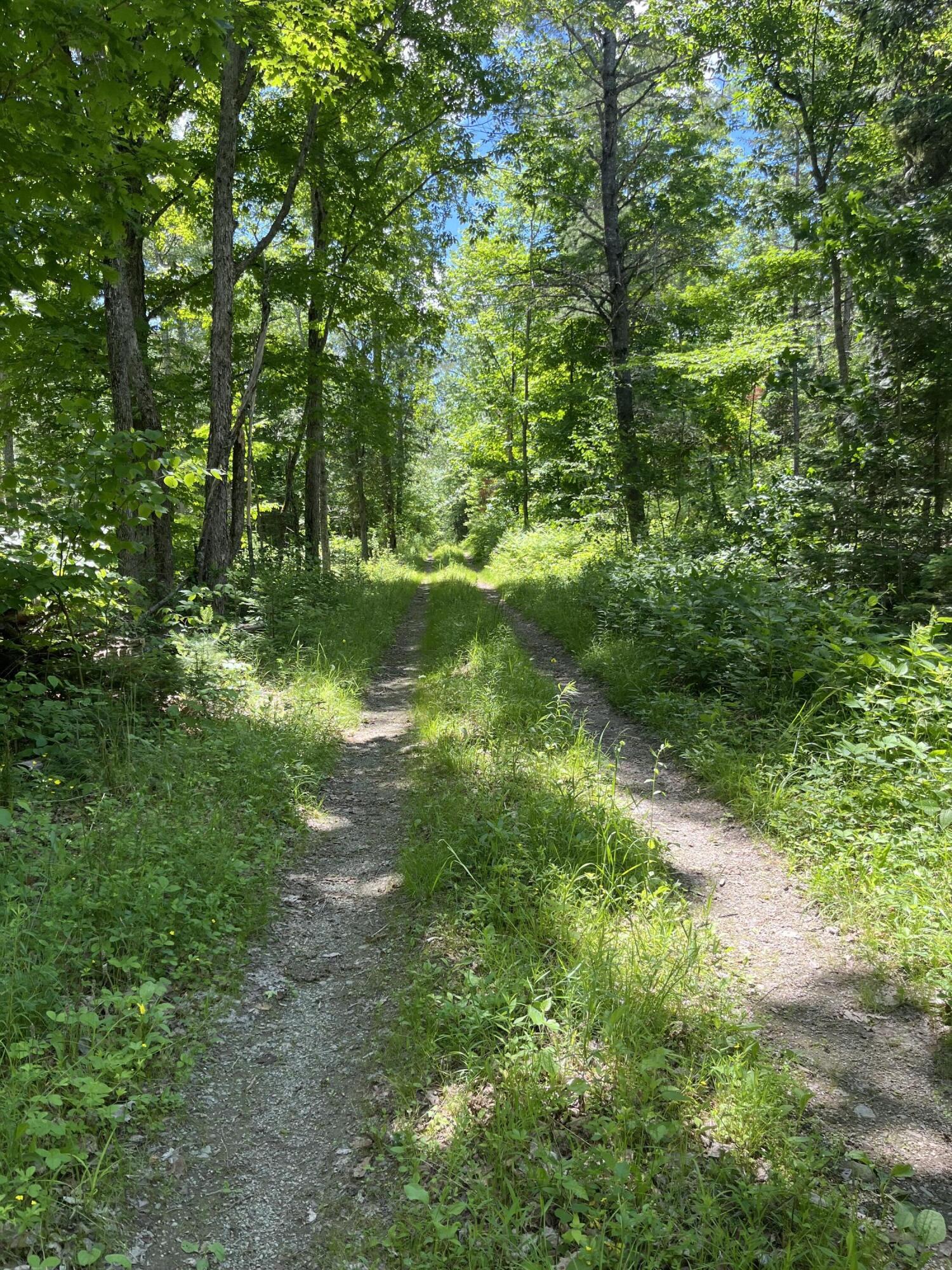 5 Fickett Road Etna, ME 04434 - Photo 4 of 23