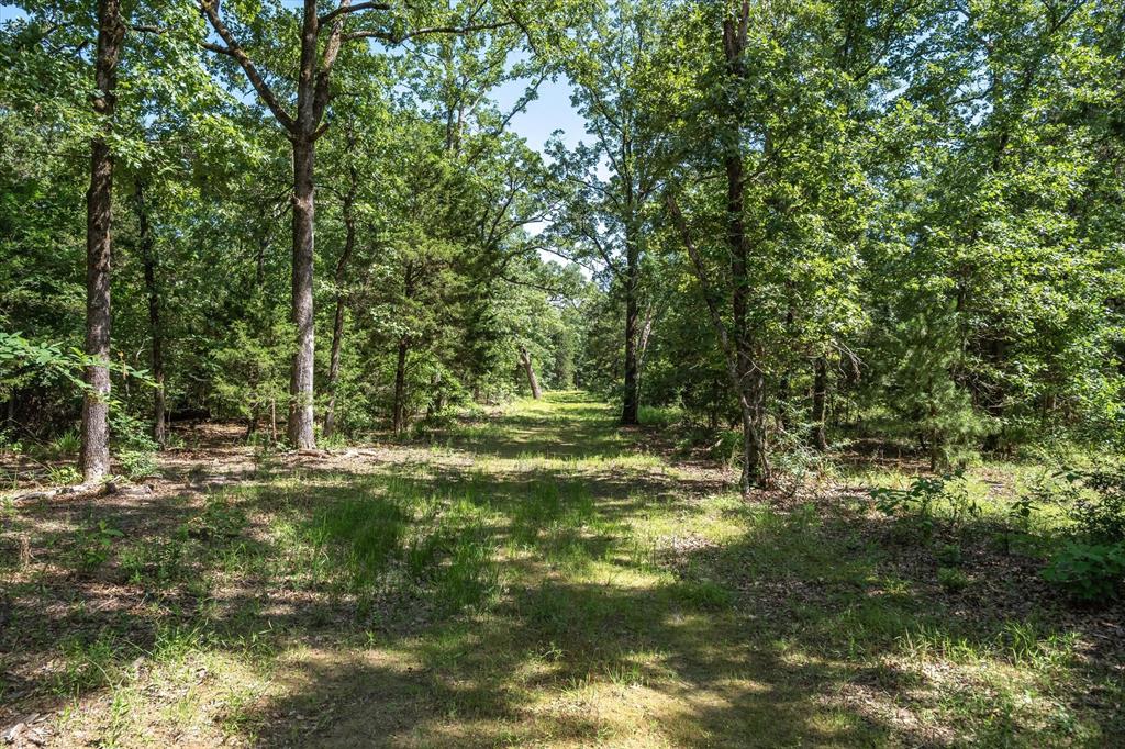 8079 Rd Ben Wheeler Tx 75754 Road Ben Wheeler, TX 75754 - Photo 37 of 37 a view of outdoor space and yard