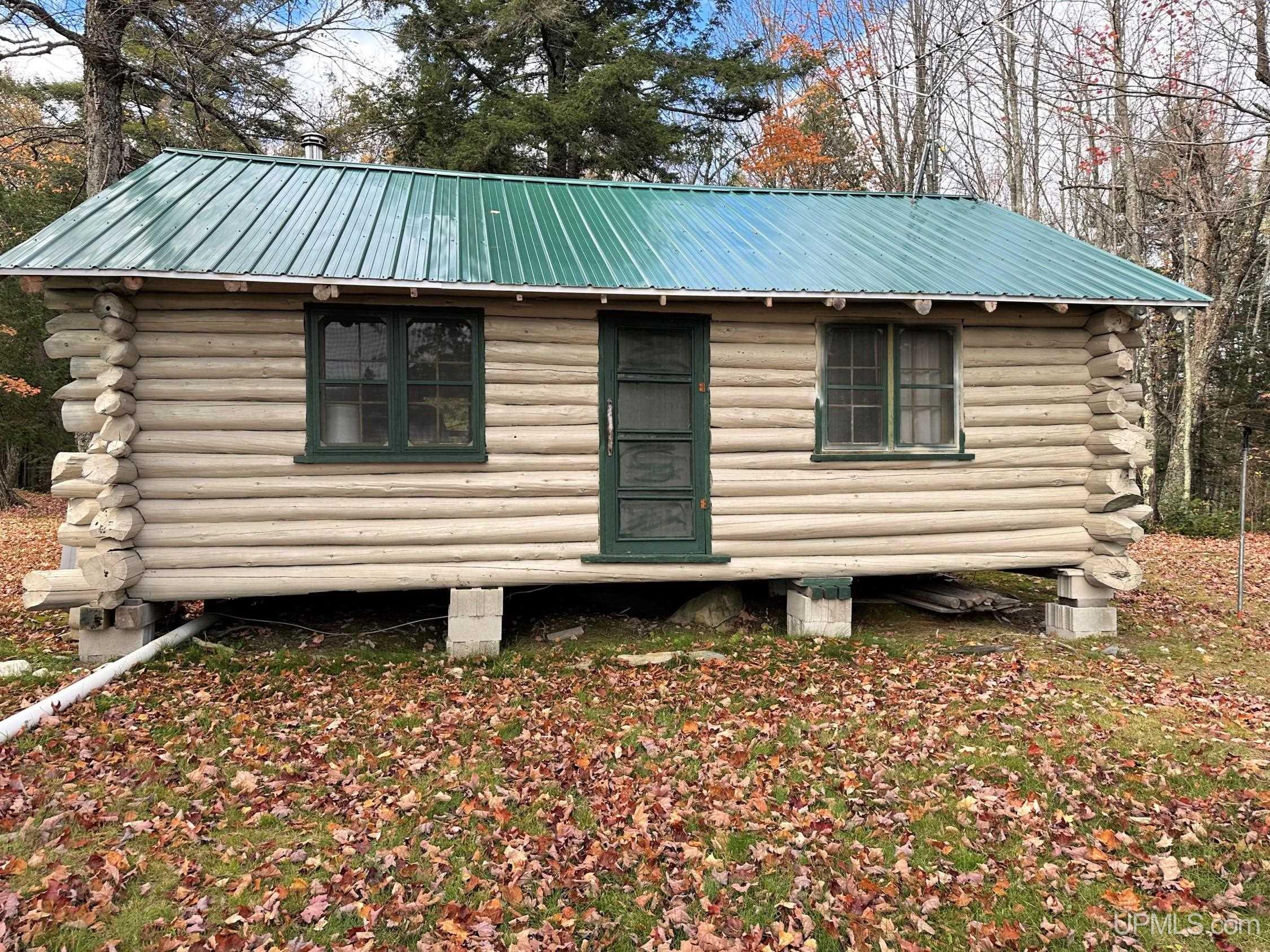 Tbd Tbd Cable Lake Road Iron River, MI 49935 - Photo 8 of 16