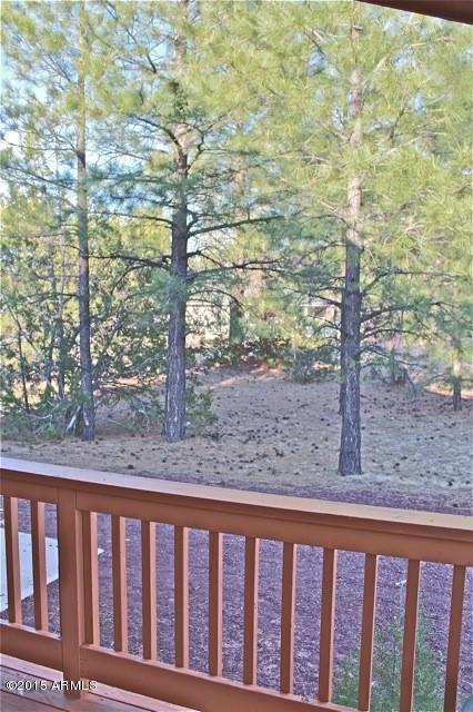 1988 Red Cinder Road Heber, AZ 85928 - Photo 36 of 42 Yard