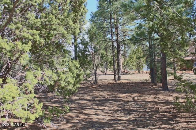 1988 Red Cinder Road Heber, AZ 85928 - Photo 39 of 42 Yard5