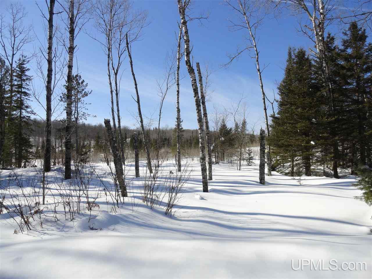 180-acres Lind Road Crystal Falls, MI 49920 - Photo 12 of 33 Gallery Image 12