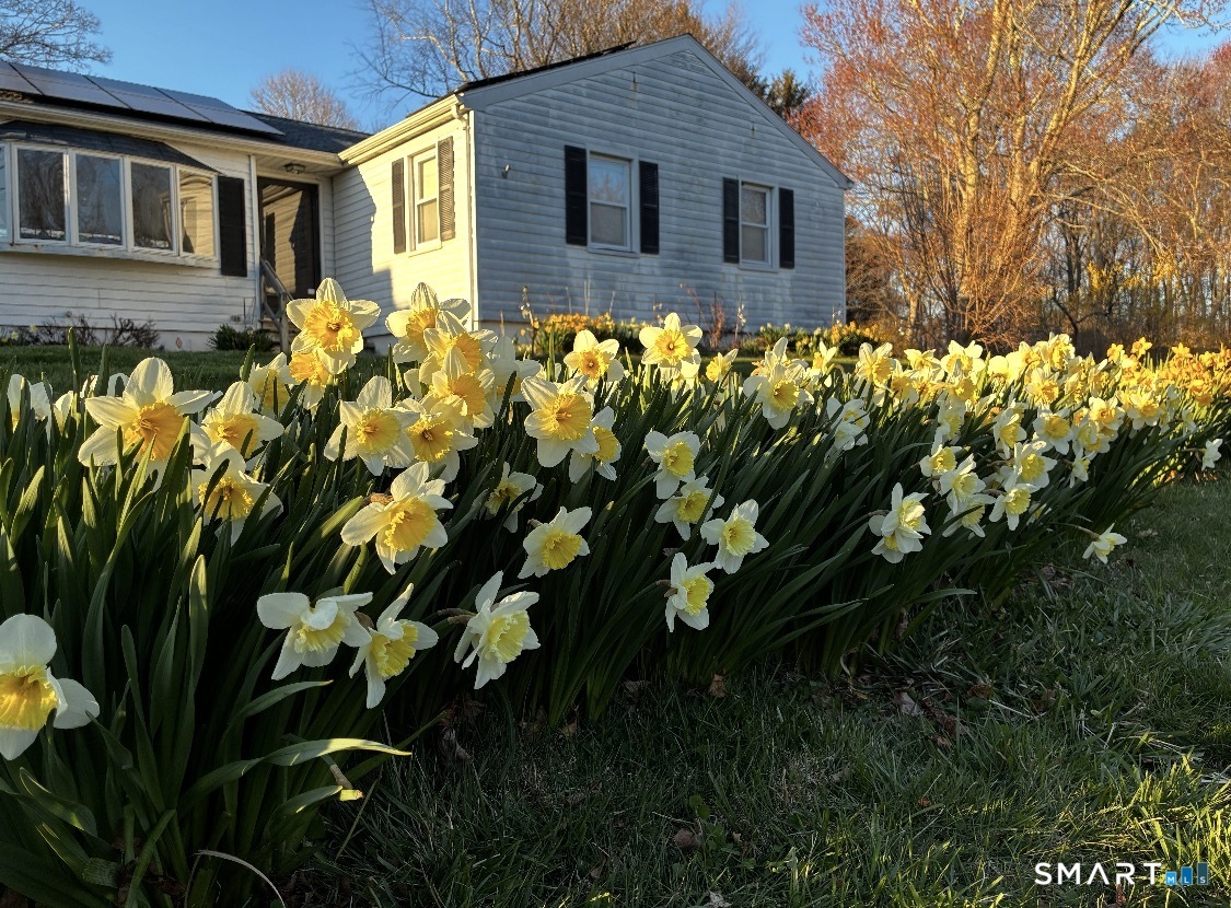 10 Barone Road East Lyme, CT 06357 - Photo 2 of 26