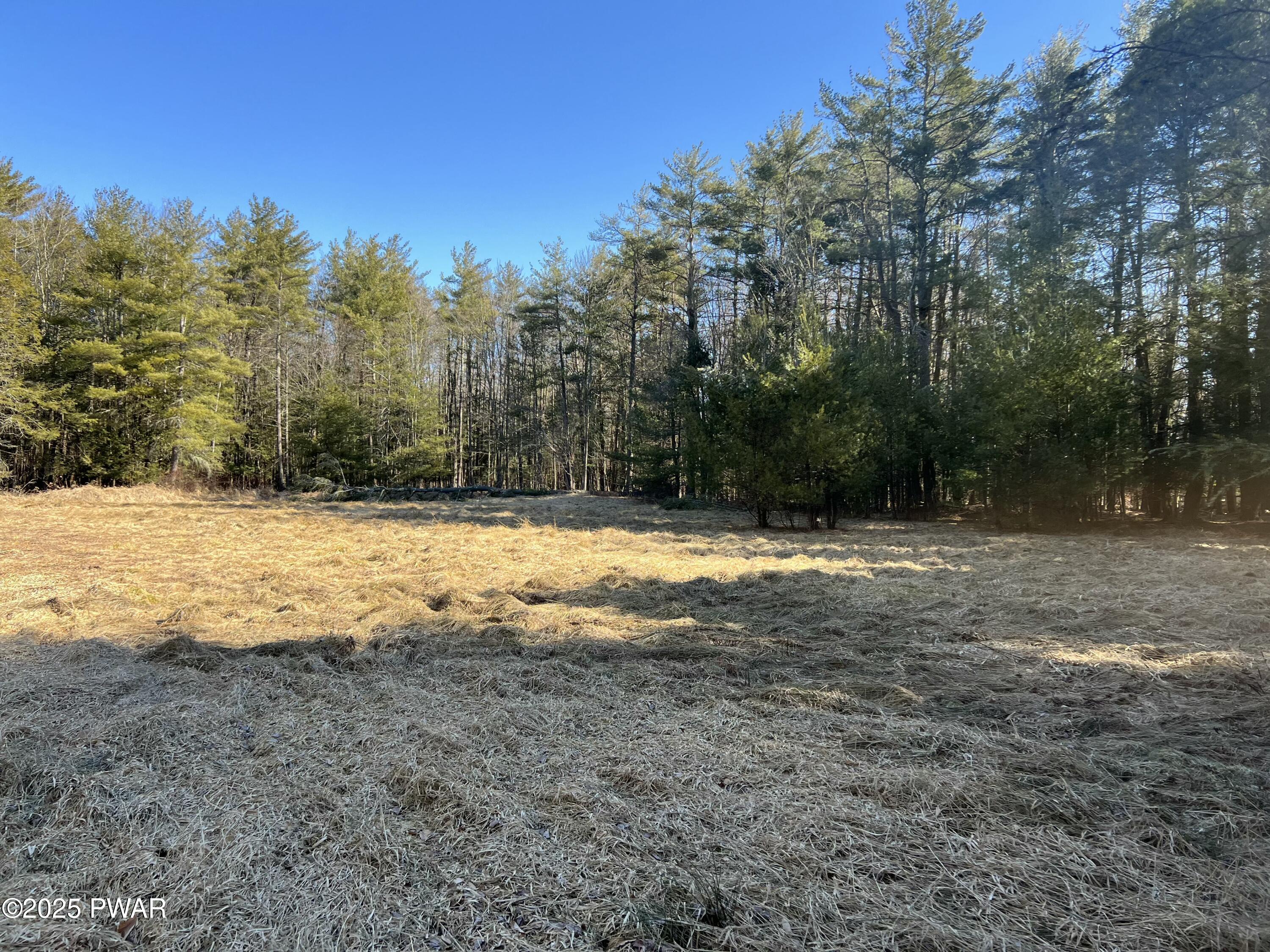 18 R Deer Laurel Estates Rd Lake Lake Ariel, PA 18436 - Photo 25 of 38