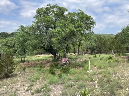 a view of a yard