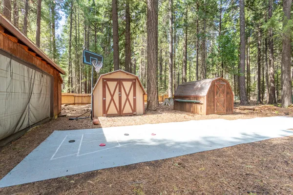 a view of a backyard with tree