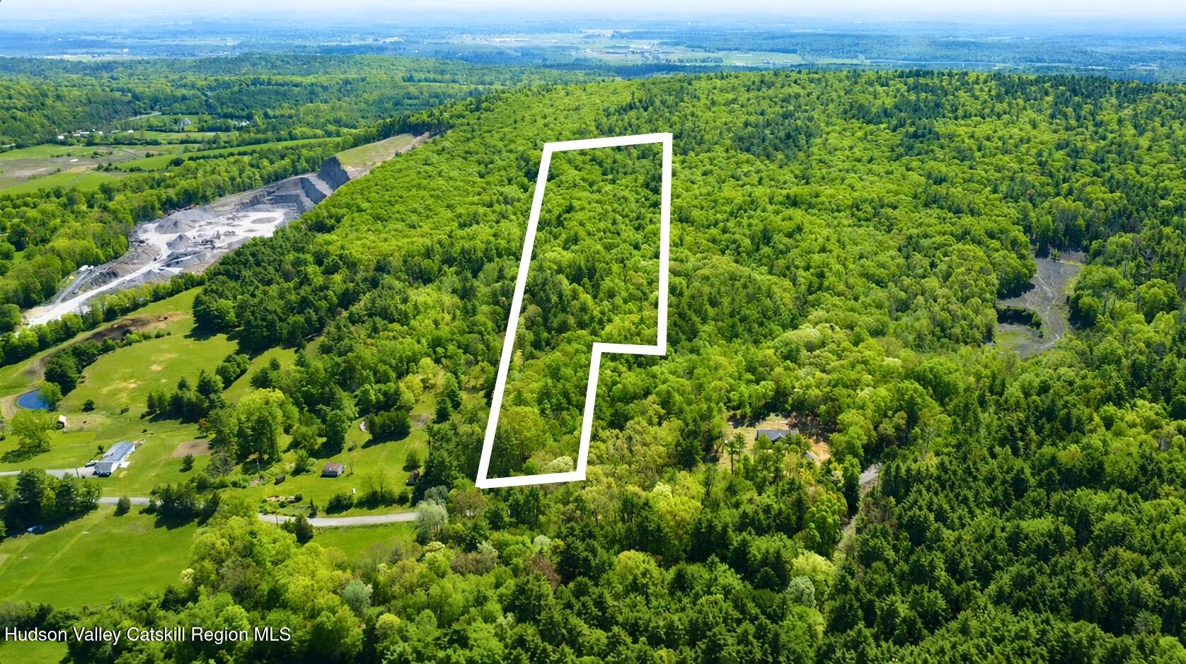 Tbd Bill Matter Road Climax, NY 12042 - Photo 3 of 16 a view of a lush green forest