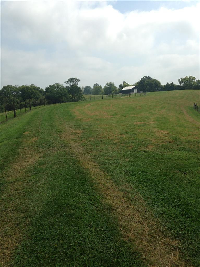1 Taylor Ridge Road Nicholasville, KY 40356 - Photo 5 of 17 Photo 5