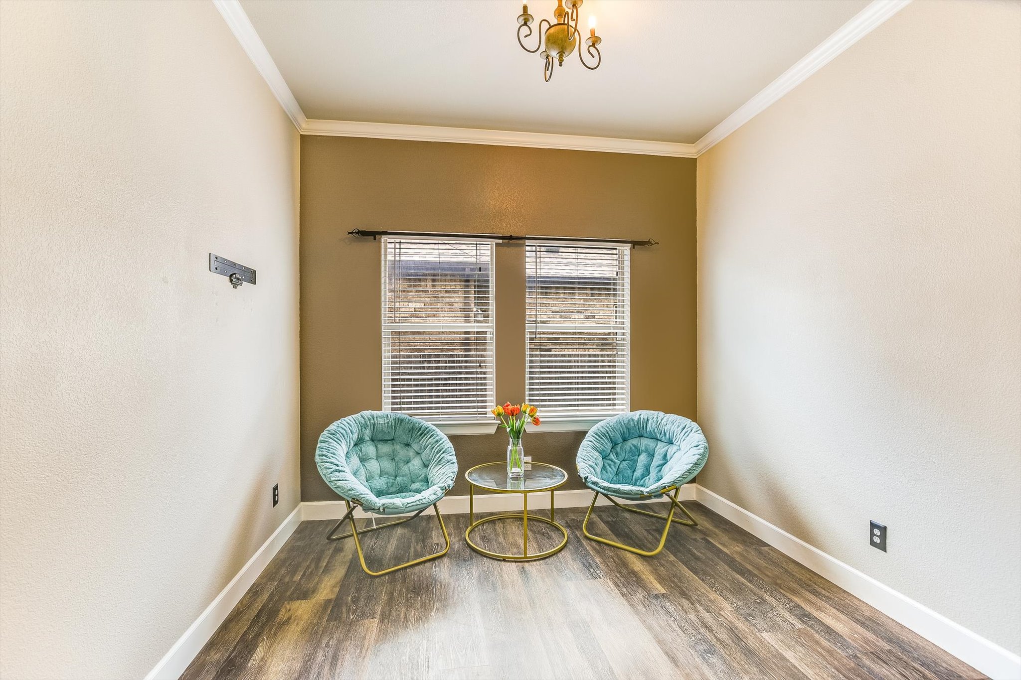 203 Gaspar Bend Cedar Park, TX 78613 - Photo 19 of 20 a living room with furniture and a potted plant