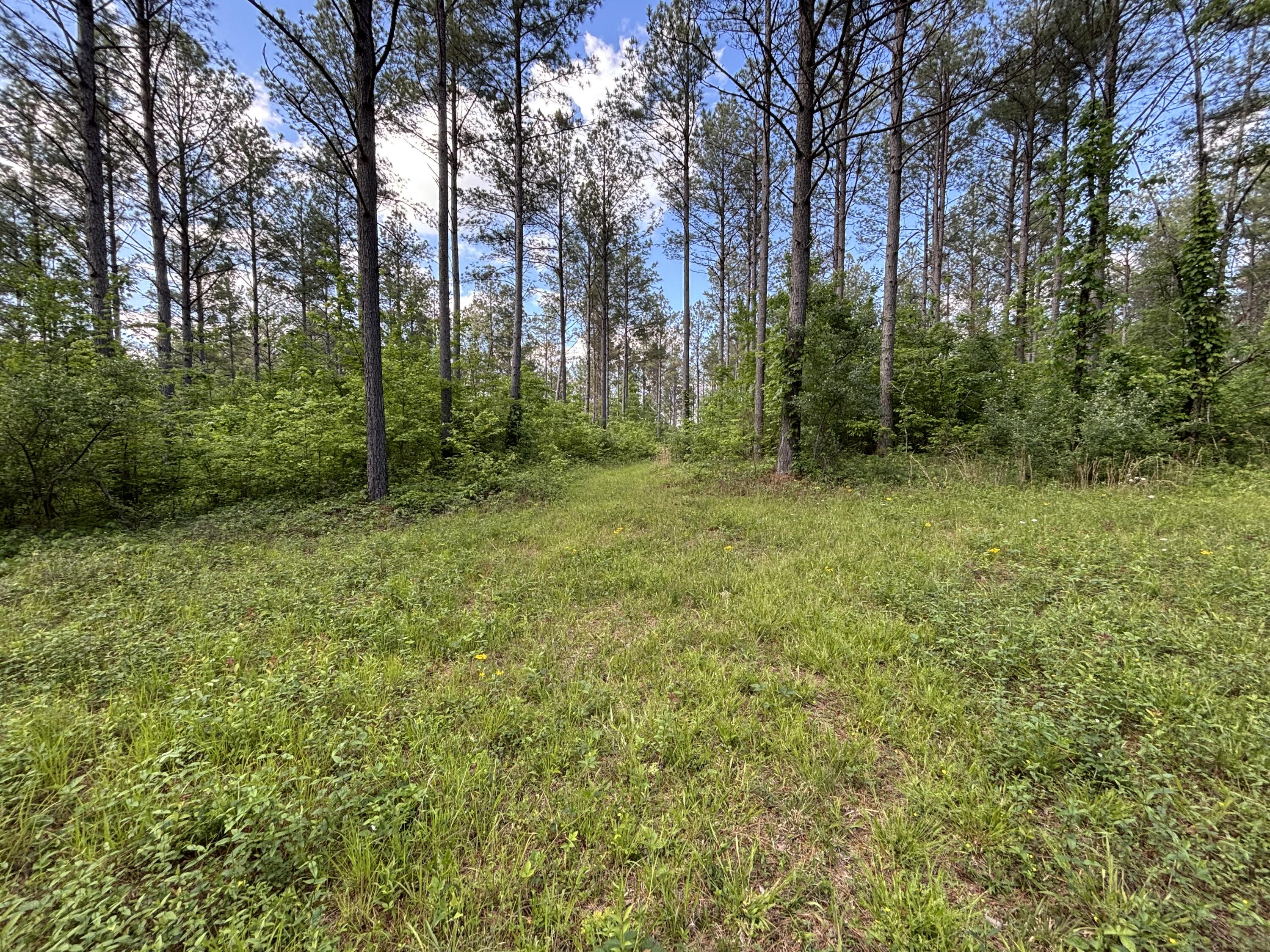 82 Bennie Camp Road Dunlap, TN 37327 - Photo 11 of 43 Photo May 12 2026, 5 54 52 PM