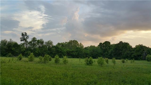 922 Logue Road Mount Juliet, TN 37122 - Photo 12 of 13