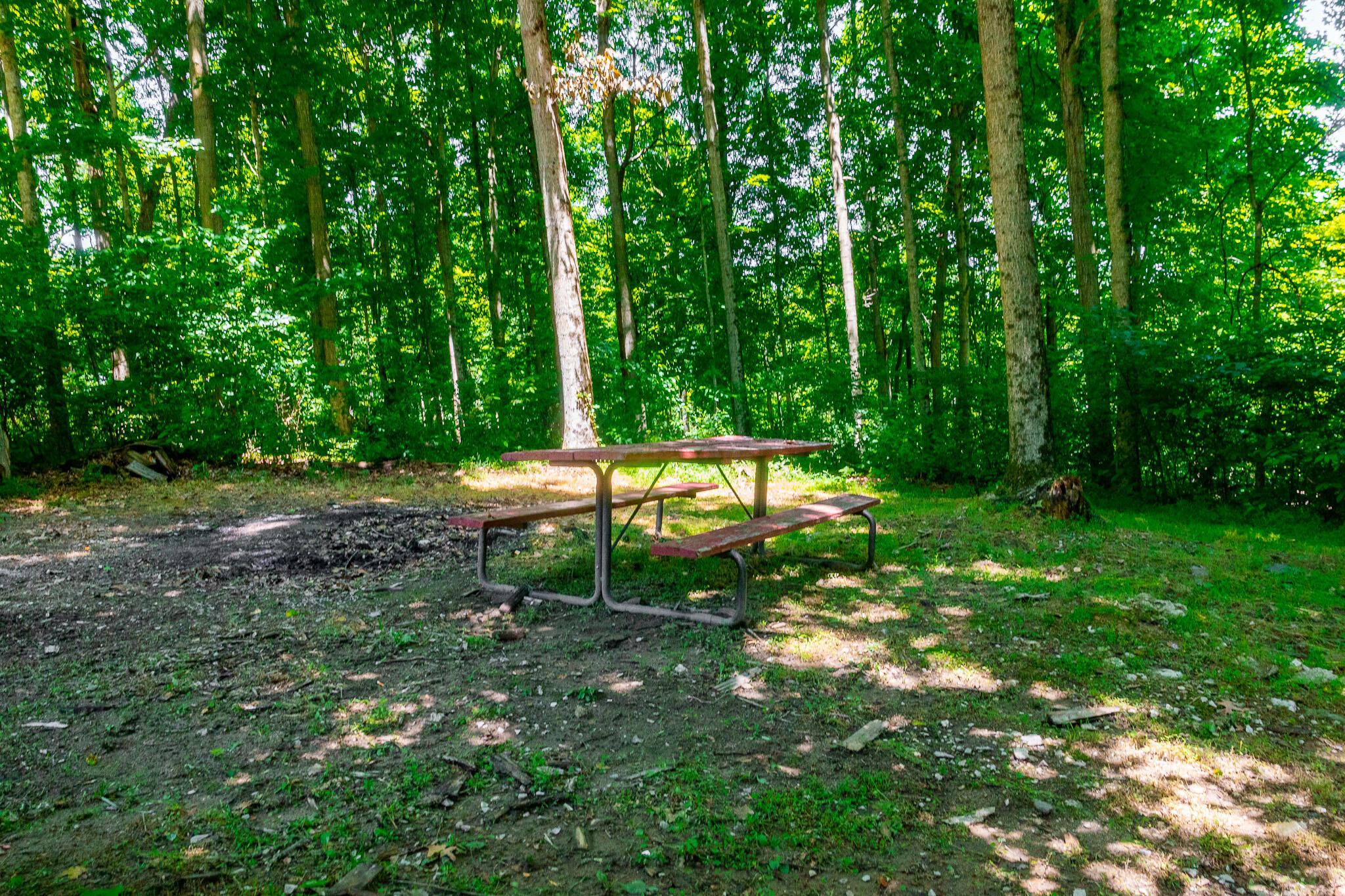 12680 Old Riley Road Frazeysburg, OH 43822 - Photo 59 of 95