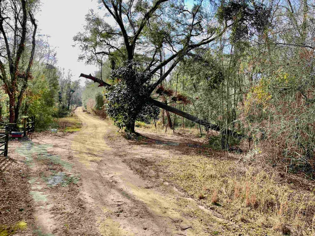 $50,000 | Tbd Tbd Aucilla Plantation Court, Greenville, FL 32331