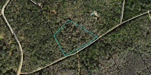 $45,000 | Tbd Tbd Aucilla Plantation Court, Greenville, FL 32331