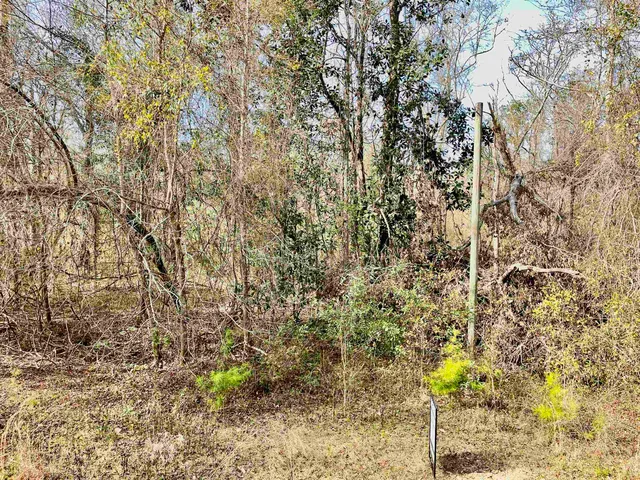 $50,000 | Tbd Tbd Aucilla Plantation Court, Greenville, FL 32331