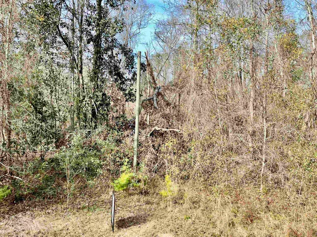 $50,000 | Tbd Tbd Aucilla Plantation Court, Greenville, FL 32331