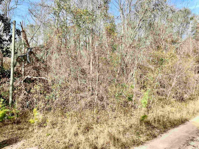 $50,000 | Tbd Tbd Aucilla Plantation Court, Greenville, FL 32331