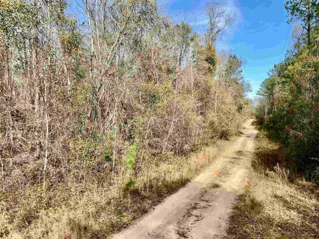 $50,000 | Tbd Tbd Aucilla Plantation Court, Greenville, FL 32331