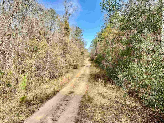 $50,000 | Tbd Tbd Aucilla Plantation Court, Greenville, FL 32331