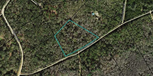 $50,000 | Tbd Tbd Aucilla Plantation Court, Greenville, FL 32331
