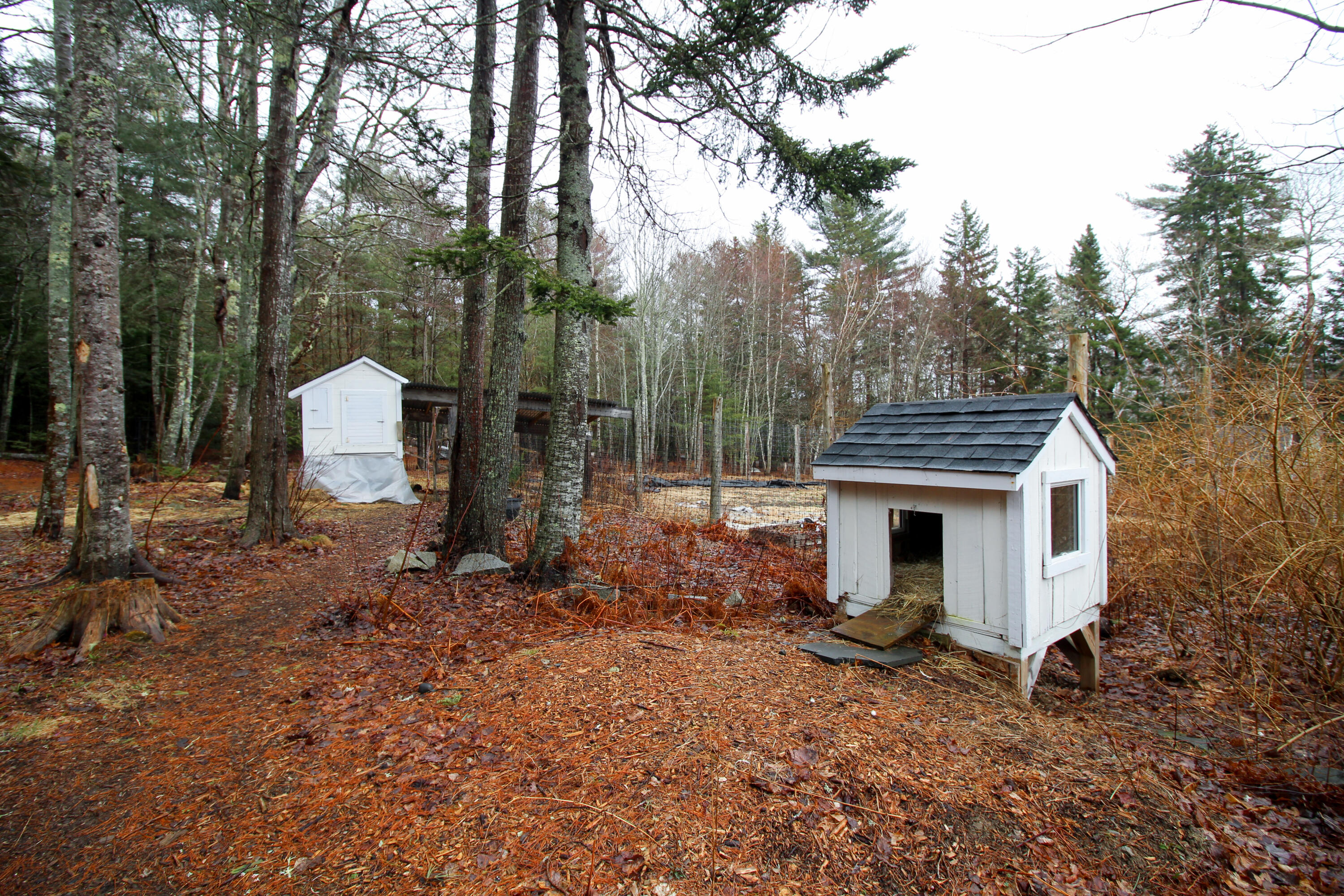 47 Berry Cove Road Lamoine, ME 04605 - Photo 16 of 102 IMG_7916