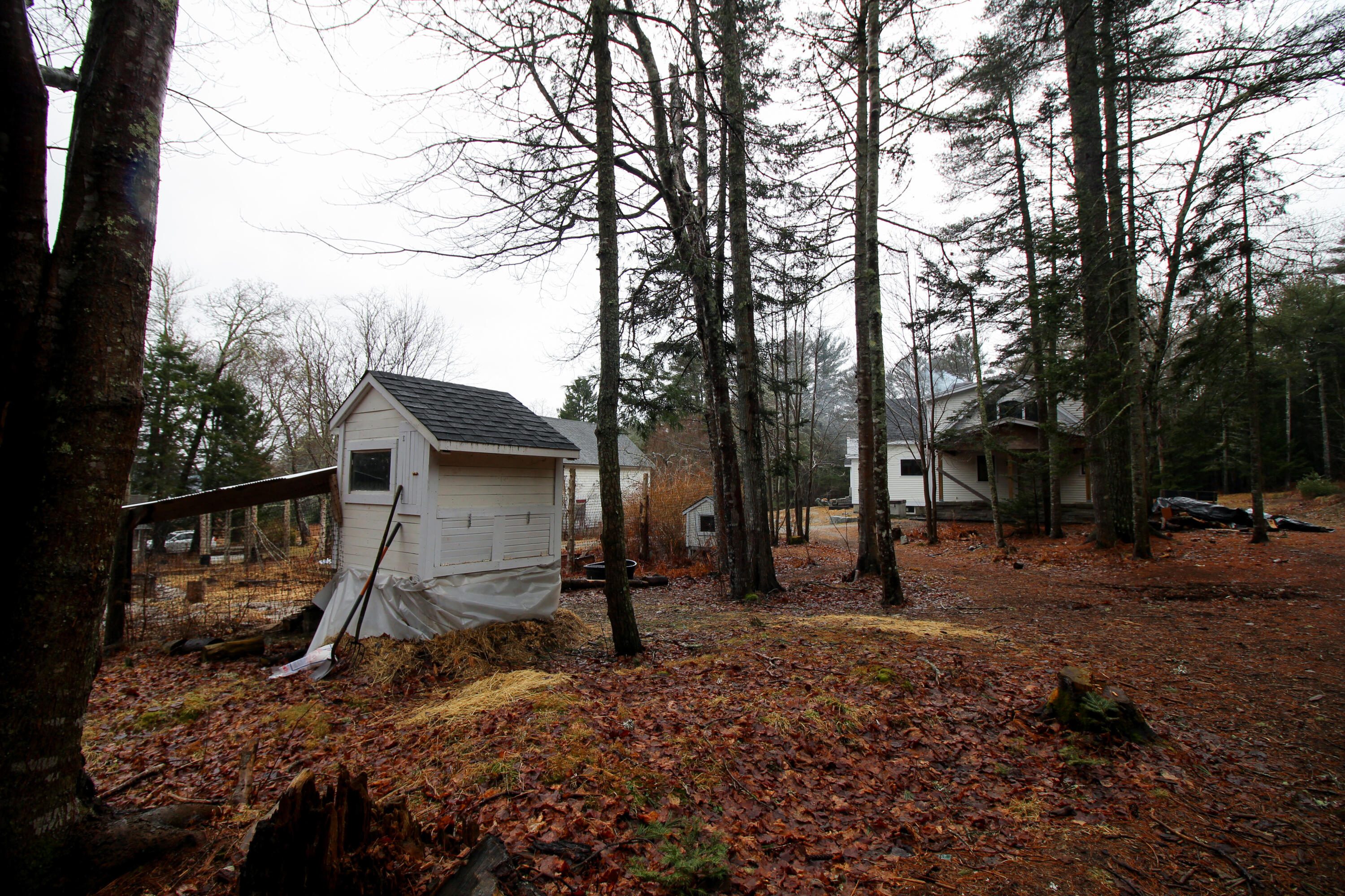 47 Berry Cove Road Lamoine, ME 04605 - Photo 17 of 102 IMG_7919