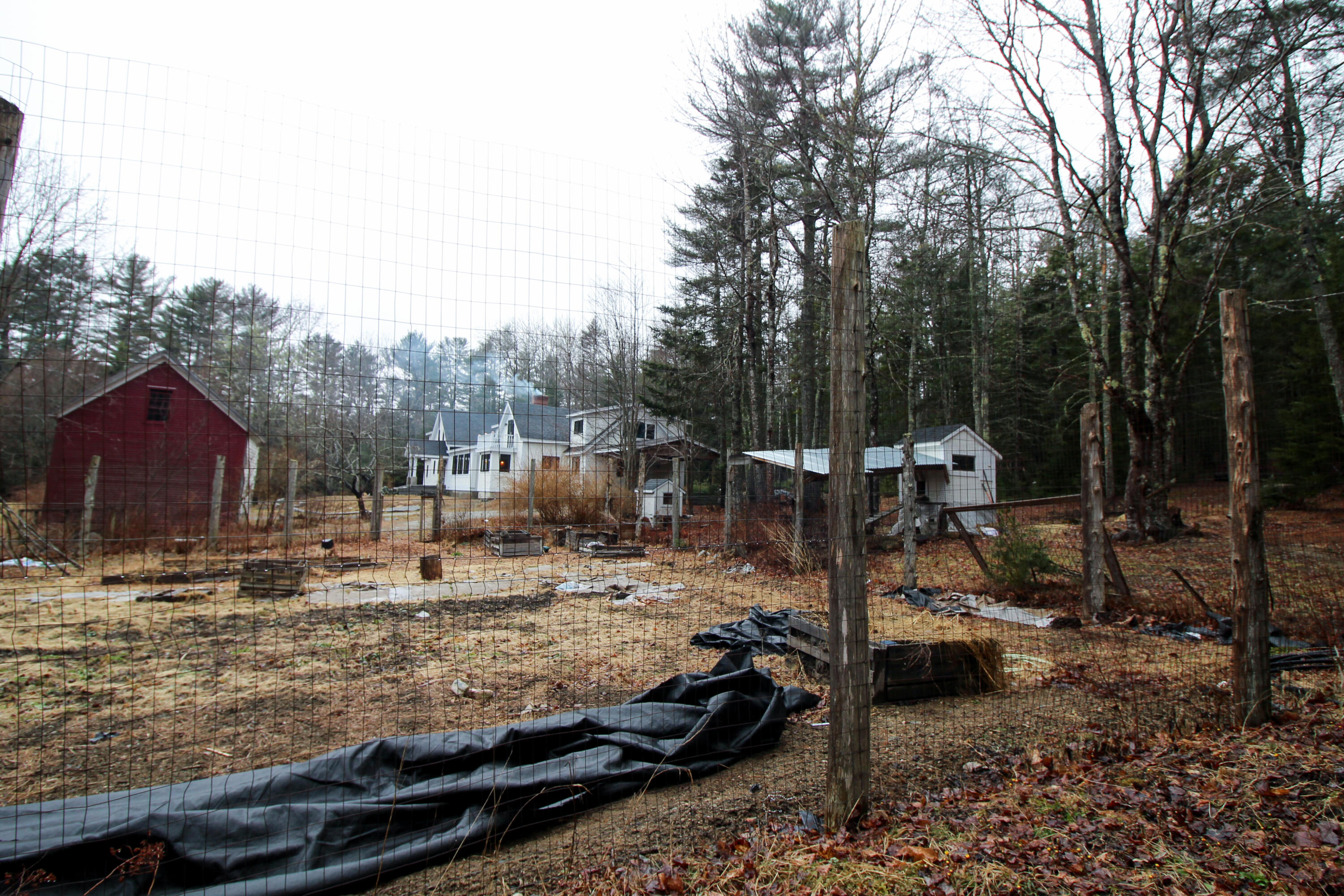 47 Berry Cove Road Lamoine, ME 04605 - Photo 18 of 102 IMG_7923