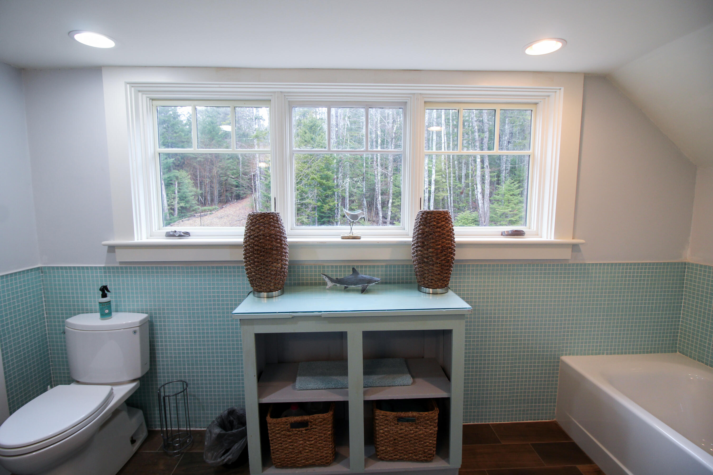 47 Berry Cove Road Lamoine, ME 04605 - Photo 56 of 102 IMG_7727