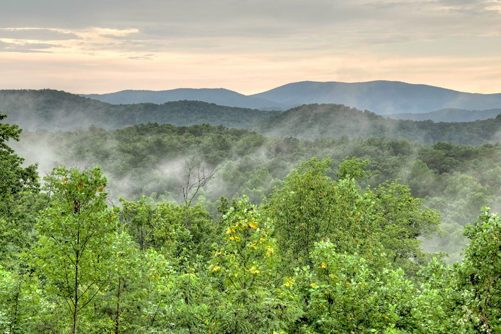 785 Wehunt Road Epworth, GA 30541 - Photo 20 of 73 a view of a town with mountains in the background