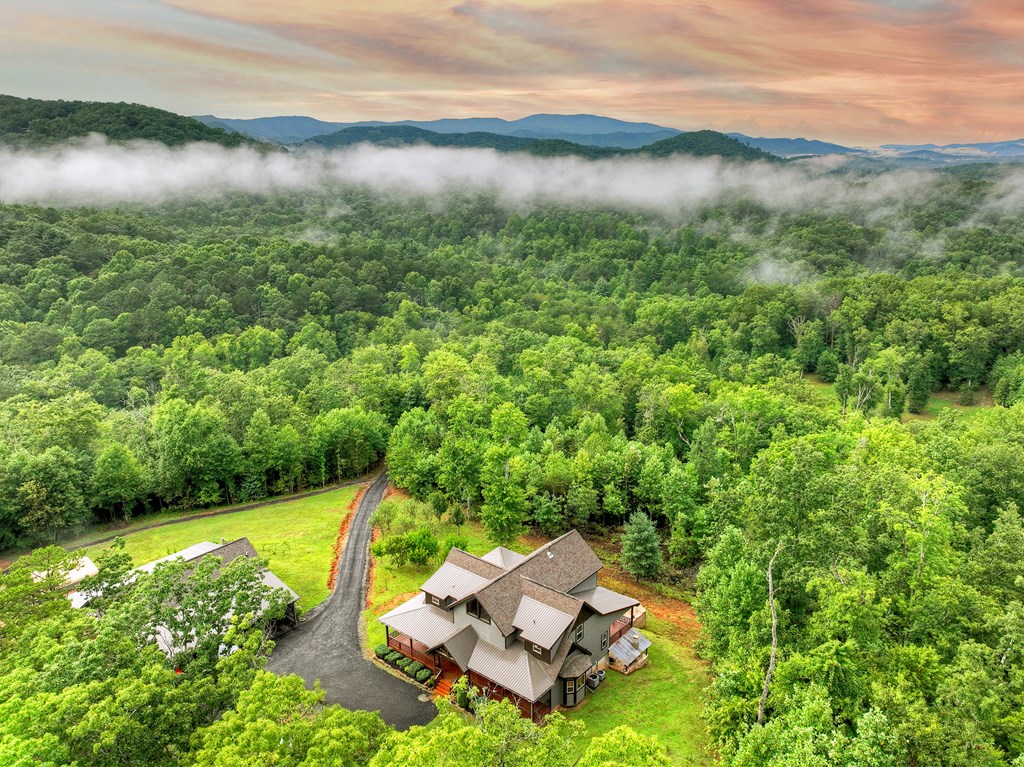 785 Wehunt Road Epworth, GA 30541 - Photo 3 of 73 a backyard of a house with lots of green space and lake view