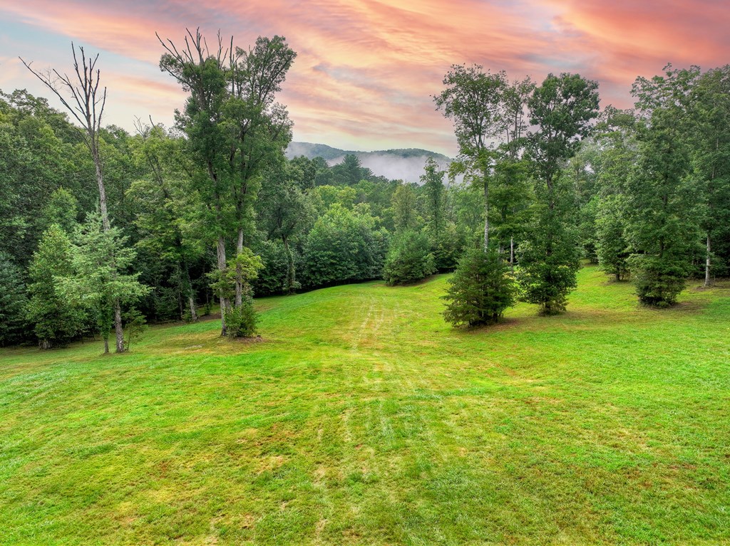 785 Wehunt Road Epworth, GA 30541 - Photo 64 of 73 a view of a field of grass and trees