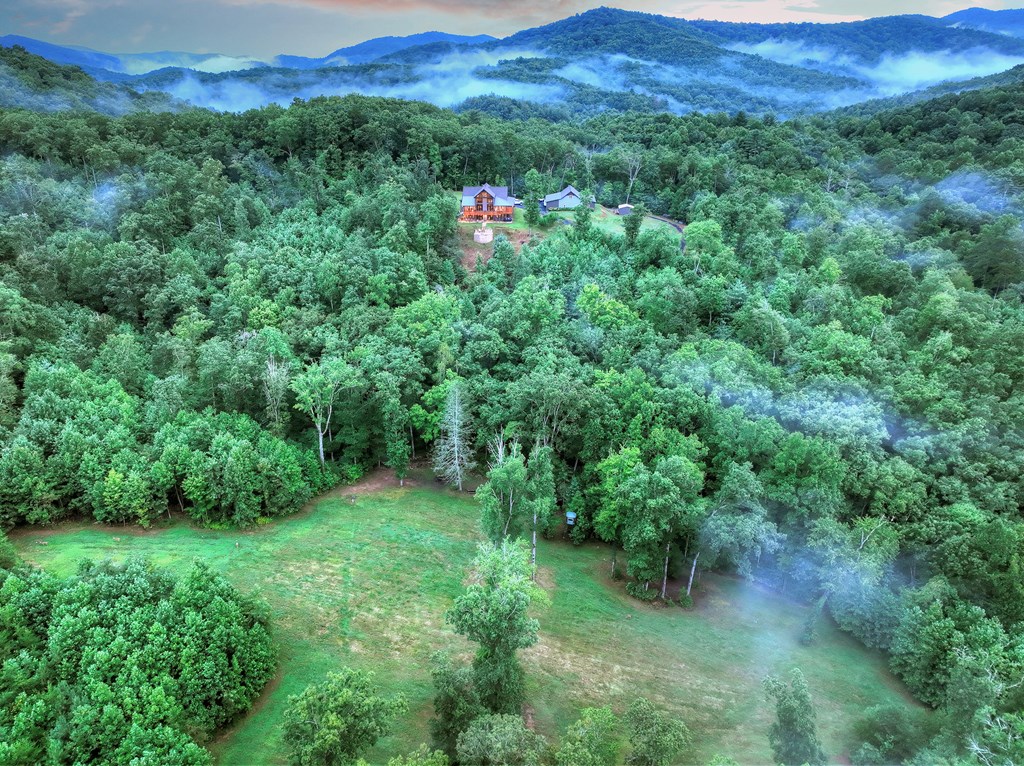 785 Wehunt Road Epworth, GA 30541 - Photo 70 of 73 a view of a lush green forest with lots of trees