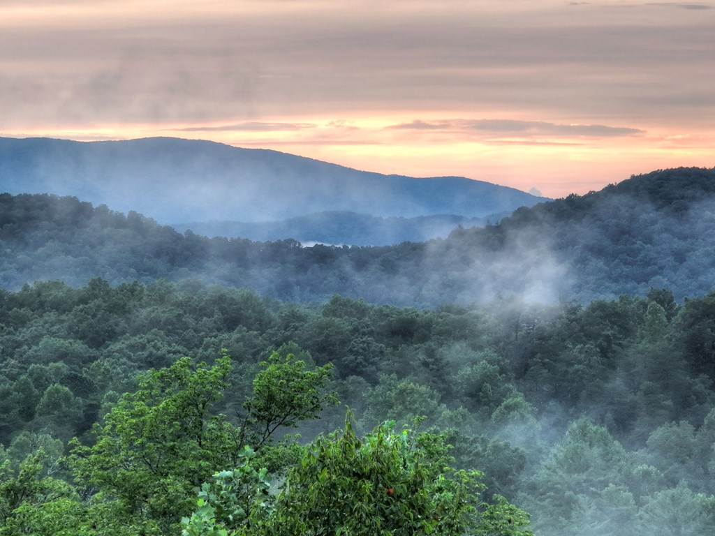 785 Wehunt Road Epworth, GA 30541 - Photo 73 of 73 a view of an ocean and mountain