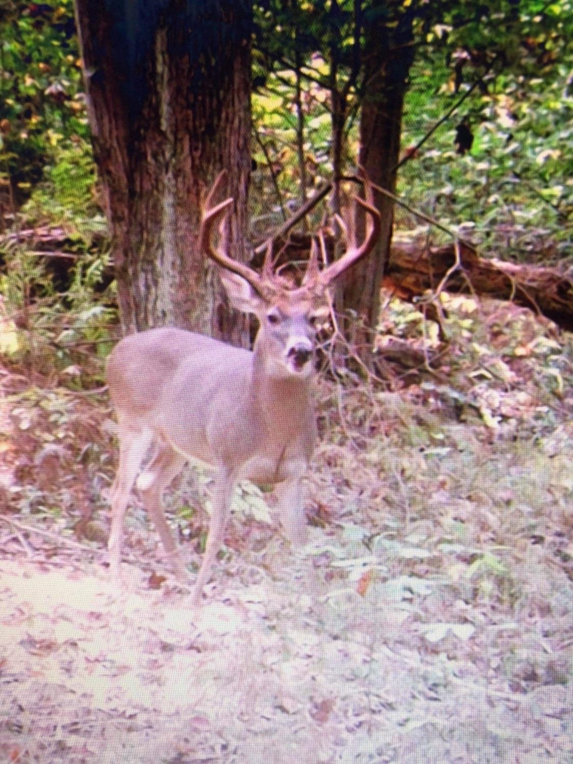 0 Dever Road Piketon, OH 45661 - Photo 15 of 46