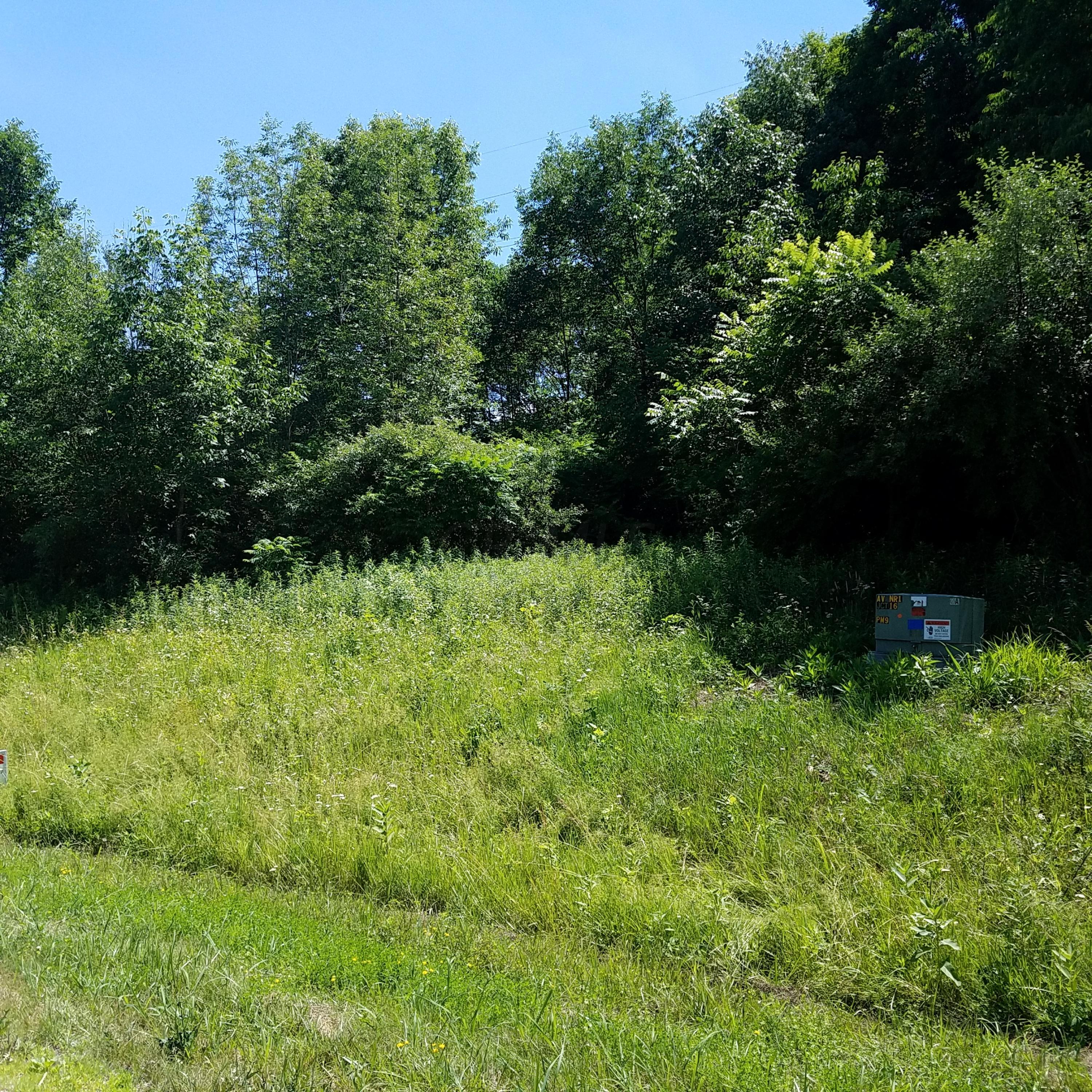 0 North Ridge Heights Drive Howard, OH 43028 - Photo 2 of 3